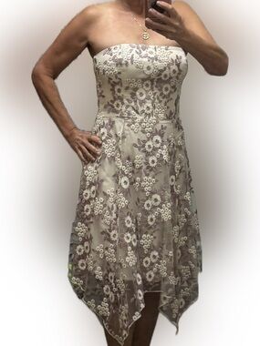 Rachel Roy Blush and Mauve Strapless Lace Dress.